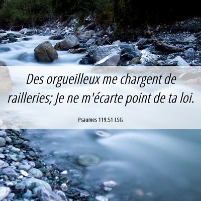 Picture 06 - Psaumes 119:51 LSG - Des orgueilleux me chargent de railleries; Je ne - Bible Verse Picture