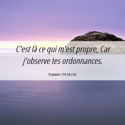 Picture 06 - Psaumes 119:56 LSG - C'est là ce qui m'est propre, Car j'observe tes - Bible Verse Picture