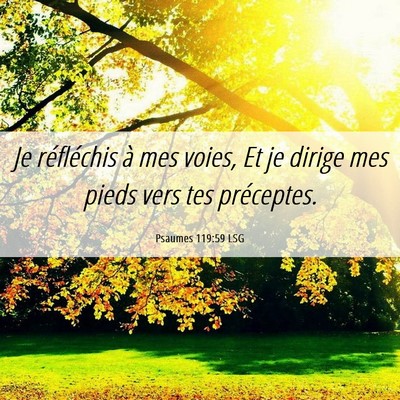 Picture 06 - Psaumes 119:59 LSG - Je réfléchis à mes voies, Et je dirige mes - Bible Verse Picture