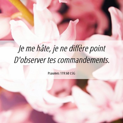 Picture 06 - Psaumes 119:60 LSG - Je me hâte, je ne diffère point D'observer tes - Bible Verse Picture