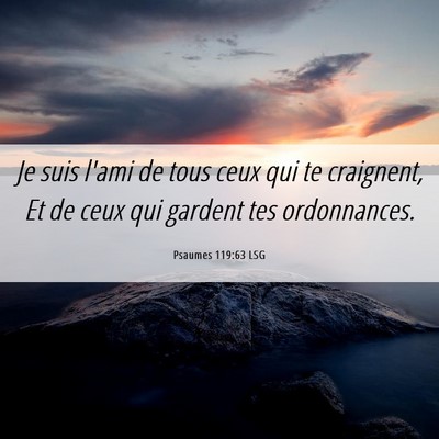 Picture 06 - Psaumes 119:63 LSG - Je suis l'ami de tous ceux qui te craignent, Et - Bible Verse Picture