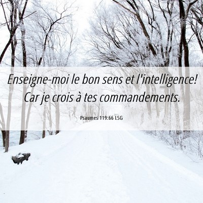Picture 06 - Psaumes 119:66 LSG - Enseigne-moi le bon sens et l'intelligence! Car - Bible Verse Picture