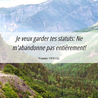 Picture 06 - Psaumes 119:8 LSG - Je veux garder tes statuts: Ne m'abandonne pas - Bible Verse Picture