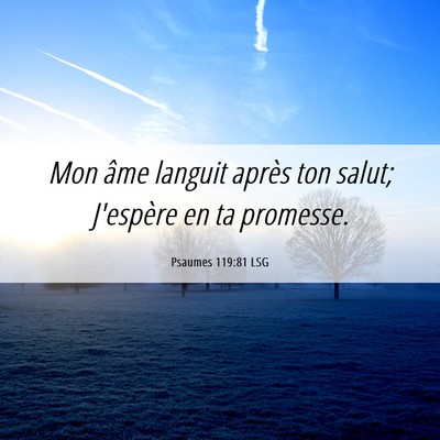 Picture 06 - Psaumes 119:81 LSG - Mon âme languit après ton salut; J'espère en - Bible Verse Picture