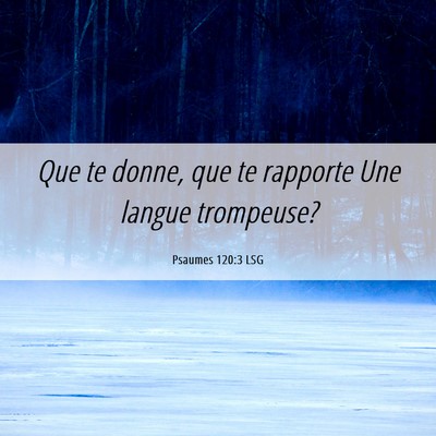 Picture 06 - Psaumes 120:3 LSG - Que te donne, que te rapporte Une langue - Bible Verse Picture