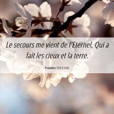 Picture 06 - Psaumes 121:2 LSG - Le secours me vient de l'Eternel, Qui a fait les - Bible Verse Picture