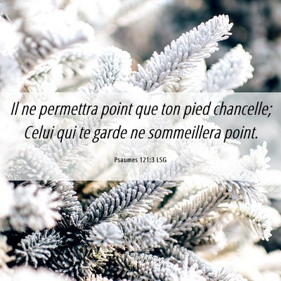 Picture 06 - Psaumes 121:3 LSG - Il ne permettra point que ton pied chancelle; - Bible Verse Picture