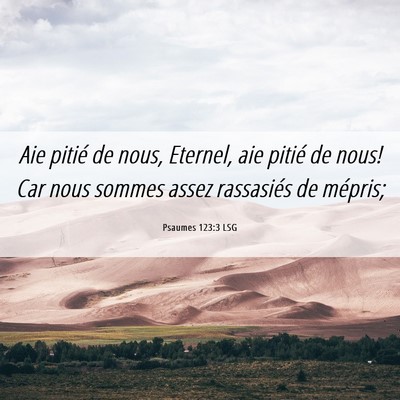 Picture 06 - Psaumes 123:3 LSG - Aie pitié de nous, Eternel, aie pitié de nous! - Bible Verse Picture