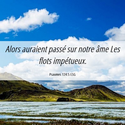 Picture 06 - Psaumes 124:5 LSG - Alors auraient passé sur notre âme Les flots - Bible Verse Picture