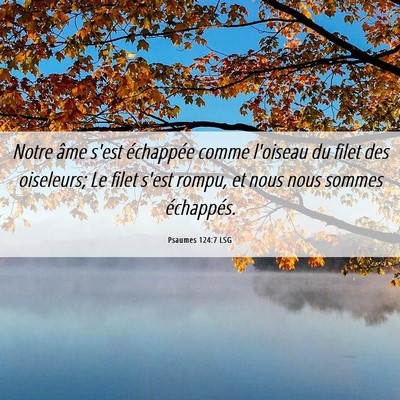 Picture 06 - Psaumes 124:7 LSG - Notre âme s'est échappée comme l'oiseau du - Bible Verse Picture