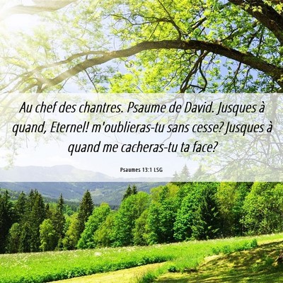 Picture 06 - Psaumes 13:1 LSG - Au chef des chantres. Psaume de David. Jusques à - Bible Verse Picture