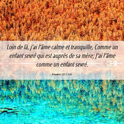 Picture 06 - Psaumes 131:2 LSG - Loin de là, j'ai l'âme calme et tranquille, - Bible Verse Picture