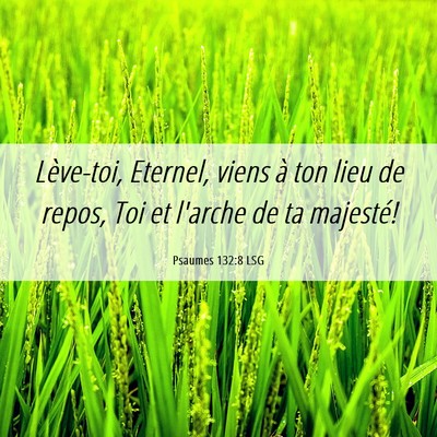 Picture 06 - Psaumes 132:8 LSG - Lève-toi, Eternel, viens à ton lieu de repos, - Bible Verse Picture