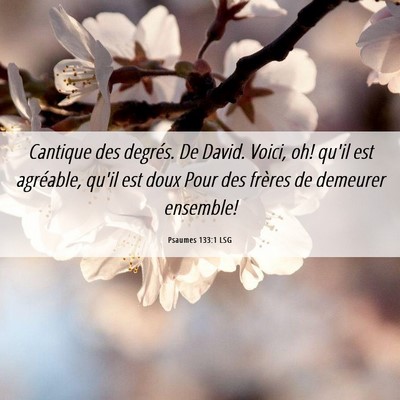 Picture 06 - Psaumes 133:1 LSG - Cantique des degrés. De David. Voici, oh! qu'il - Bible Verse Picture