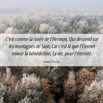 Picture 06 - Psaumes 133:3 LSG - C'est comme la rosée de l'Hermon, Qui descend - Bible Verse Picture