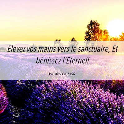 Picture 06 - Psaumes 134:2 LSG - Elevez vos mains vers le sanctuaire, Et bénissez - Bible Verse Picture