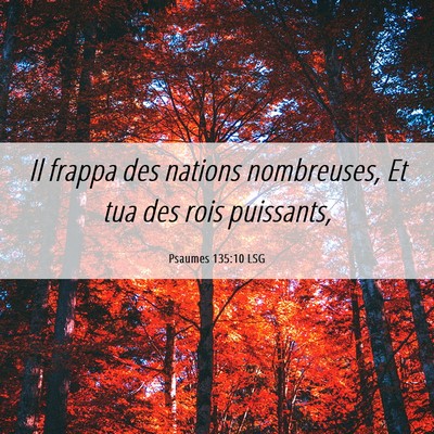 Picture 06 - Psaumes 135:10 LSG - Il frappa des nations nombreuses, Et tua des rois - Bible Verse Picture