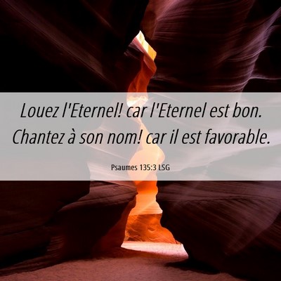Picture 06 - Psaumes 135:3 LSG - Louez l'Eternel! car l'Eternel est bon. Chantez - Bible Verse Picture
