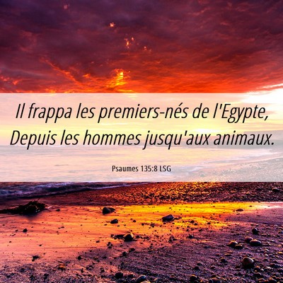 Picture 06 - Psaumes 135:8 LSG - Il frappa les premiers-nés de l'Egypte, Depuis - Bible Verse Picture