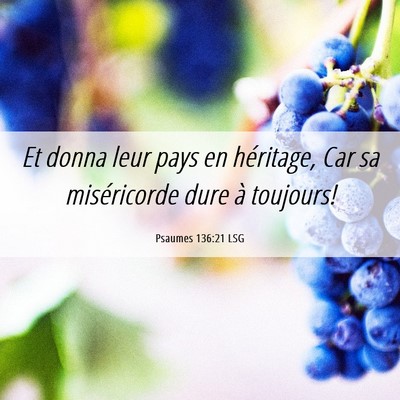 Picture 06 - Psaumes 136:21 LSG - Et donna leur pays en héritage, Car sa - Bible Verse Picture