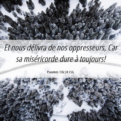Picture 06 - Psaumes 136:24 LSG - Et nous délivra de nos oppresseurs, Car sa - Bible Verse Picture