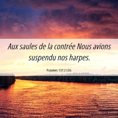 Picture 06 - Psaumes 137:2 LSG - Aux saules de la contrée Nous avions suspendu - Bible Verse Picture