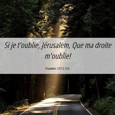 Picture 06 - Psaumes 137:5 LSG - Si je t'oublie, Jérusalem, Que ma droite - Bible Verse Picture
