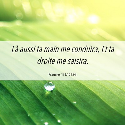 Picture 06 - Psaumes 139:10 LSG - Là aussi ta main me conduira, Et ta droite me - Bible Verse Picture