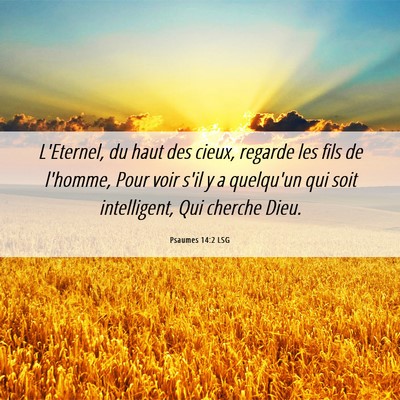 Picture 06 - Psaumes 14:2 LSG - L'Eternel, du haut des cieux, regarde les fils de - Bible Verse Picture