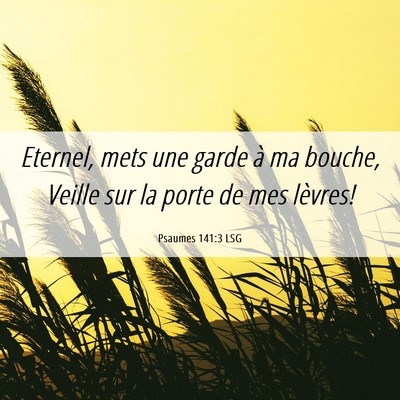 Picture 06 - Psaumes 141:3 LSG - Eternel, mets une garde à ma bouche, Veille sur - Bible Verse Picture