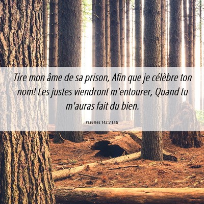 Picture 06 - Psaumes 142:7 LSG - Tire mon âme de sa prison, Afin que je célèbre - Bible Verse Picture