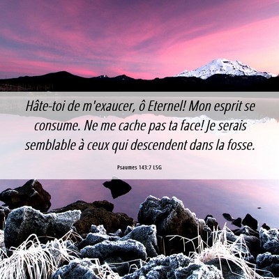 Picture 06 - Psaumes 143:7 LSG - Hâte-toi de m'exaucer, ô Eternel! Mon esprit se - Bible Verse Picture
