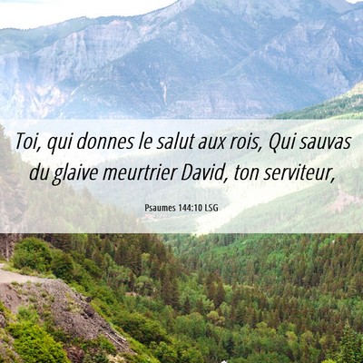 Picture 06 - Psaumes 144:10 LSG - Toi, qui donnes le salut aux rois, Qui sauvas du - Bible Verse Picture