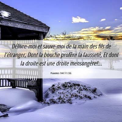 Picture 06 - Psaumes 144:11 LSG - Délivre-moi et sauve-moi de la main des fils de - Bible Verse Picture