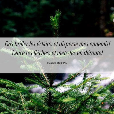 Picture 06 - Psaumes 144:6 LSG - Fais briller les éclairs, et disperse mes - Bible Verse Picture