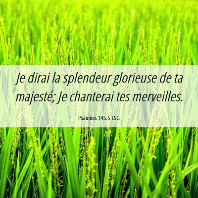Picture 06 - Psaumes 145:5 LSG - Je dirai la splendeur glorieuse de ta majesté; - Bible Verse Picture
