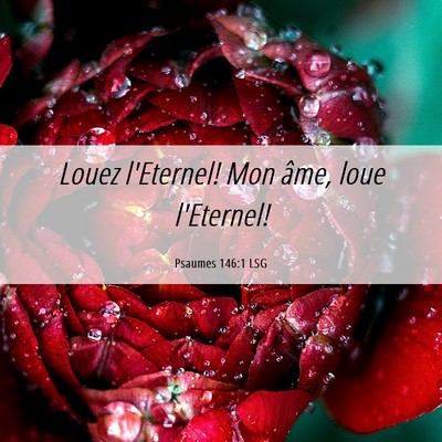 Picture 06 - Psaumes 146:1 LSG - Louez l'Eternel! Mon âme, loue - Bible Verse Picture