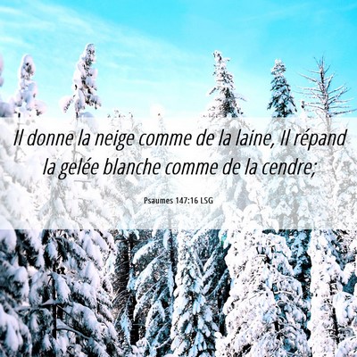 Picture 06 - Psaumes 147:16 LSG - Il donne la neige comme de la laine, Il répand - Bible Verse Picture