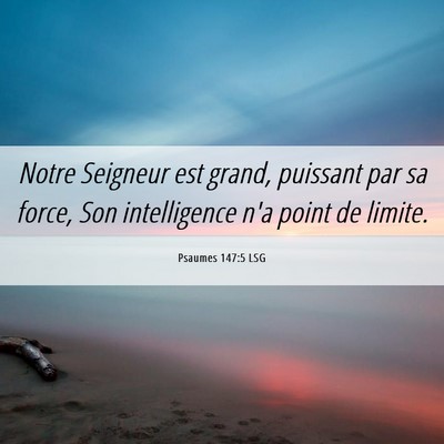 Picture 06 - Psaumes 147:5 LSG - Notre Seigneur est grand, puissant par sa force, - Bible Verse Picture