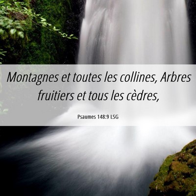 Picture 06 - Psaumes 148:9 LSG - Montagnes et toutes les collines, Arbres - Bible Verse Picture
