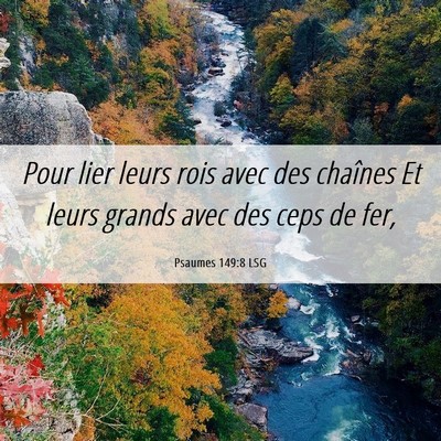 Picture 06 - Psaumes 149:8 LSG - Pour lier leurs rois avec des chaînes Et leurs - Bible Verse Picture
