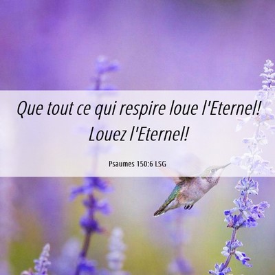 Picture 06 - Psaumes 150:6 LSG - Que tout ce qui respire loue l'Eternel! Louez - Bible Verse Picture