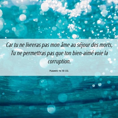 Picture 06 - Psaumes 16:10 LSG - Car tu ne livreras pas mon âme au séjour des - Bible Verse Picture