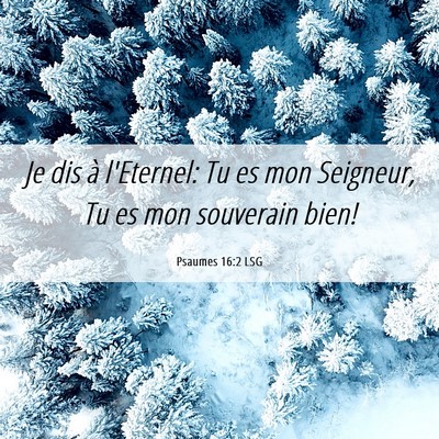 Picture 06 - Psaumes 16:2 LSG - Je dis à l'Eternel: Tu es mon Seigneur, Tu es - Bible Verse Picture