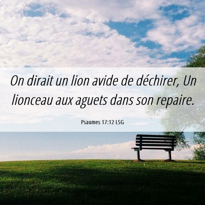 Picture 06 - Psaumes 17:12 LSG - On dirait un lion avide de déchirer, Un lionceau - Bible Verse Picture