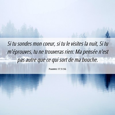 Picture 06 - Psaumes 17:3 LSG - Si tu sondes mon coeur, si tu le visites la nuit, - Bible Verse Picture