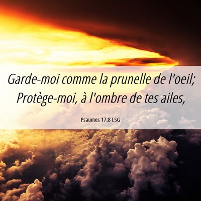 Picture 06 - Psaumes 17:8 LSG - Garde-moi comme la prunelle de l'oeil; - Bible Verse Picture