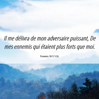 Picture 06 - Psaumes 18:17 LSG - Il me délivra de mon adversaire puissant, De mes - Bible Verse Picture