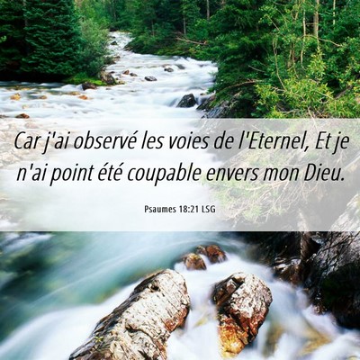 Picture 06 - Psaumes 18:21 LSG - Car j'ai observé les voies de l'Eternel, Et je - Bible Verse Picture