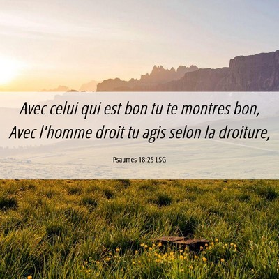 Picture 06 - Psaumes 18:25 LSG - Avec celui qui est bon tu te montres bon, Avec - Bible Verse Picture